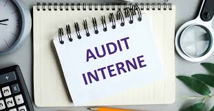 AUDIT INTERNE DES PROCEDURES